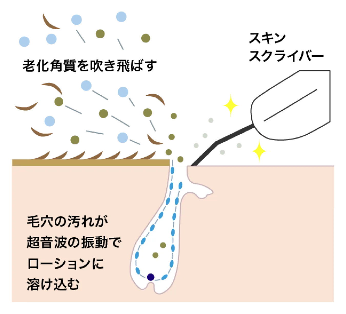 老化角質を吹き飛ばす/毛穴の汚れが超音波の振動でローションに溶け込む
